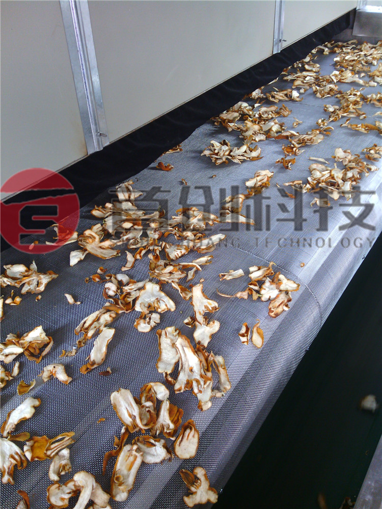 網(wǎng)帶式佛手片烘干機出料口.jpg