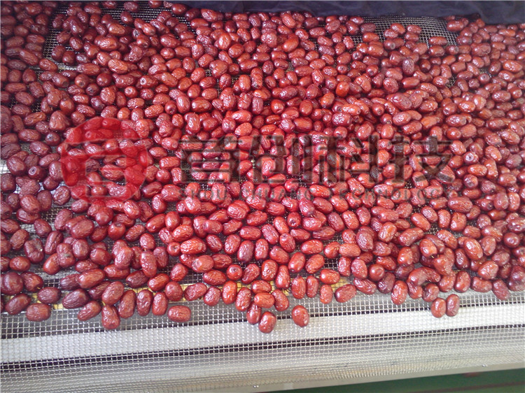 紅棗專業(yè)烘干設備.jpg